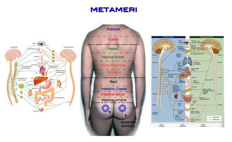 mappa metameri