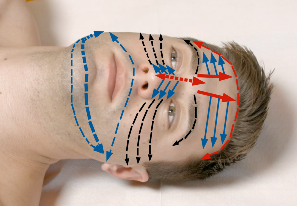 massaggio connettivale al viso